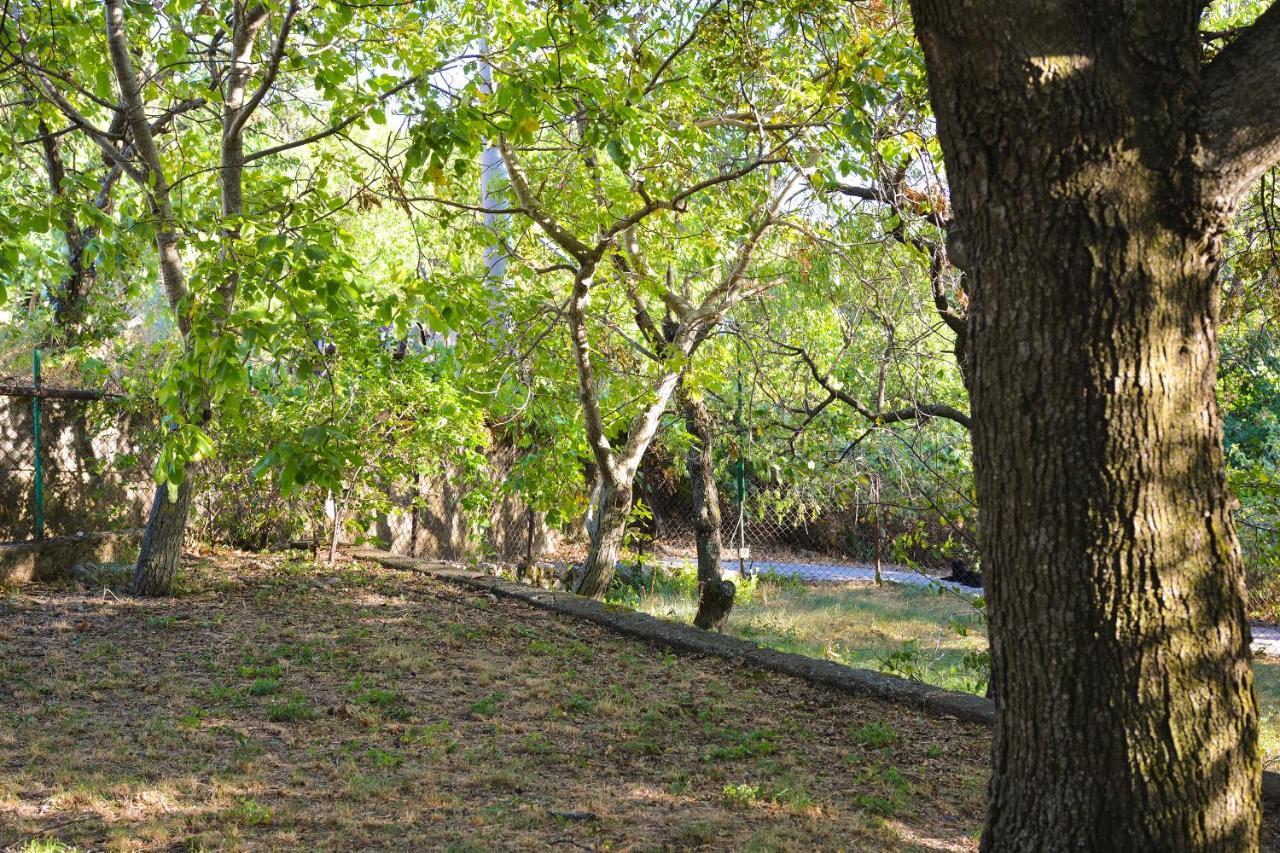 Forest Heritage Apartment Hreljin エクステリア 写真